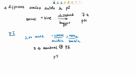 the-amino-acids-pictured-below-are-shown-in-their-un-ionized-forms-the-isoelectric-point-pl-of-each-is-listed-if-these-amino-acids-are-dissolved-in-a-buffer-at-the-physiologic-ph-of-74-which-73416