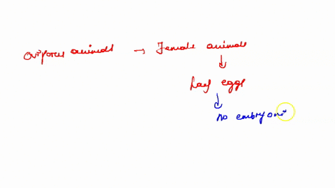 which-of-following-reproductive-strategies-in-mammals-involves-the-mother-laying-eggs-that-hatch-outside-of-her-body-which-of-following-reproductive-strategies-in-mammals-involves-the-mother-58206