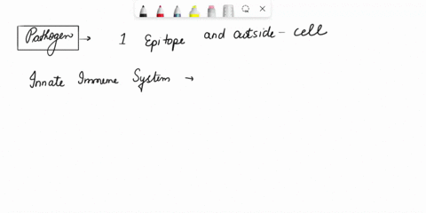 a-pathogen-presenting-only-one-epitope-is-detected-the-body-but-not-currently-inside-of-cell-what-can-you-say-about-how-the-immune-system-will-respond-to-this-pathogen-the-innate-immune-resp-93316