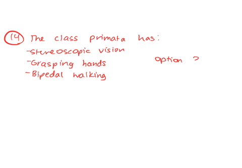 question-14-2-pts-what-is-not-feature-of-the-class-primata-stereoscopic-vision-grasping-hand-flexible-limbs-pipedai-iwalking-question-15-2-pts-what-is-catch-up-growth-when-conditions-become-27155