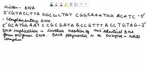 replication-transcription-and-translation-part-diagramming-dna-template-you-should-rst-we-will-be-using-the-dna-sequence-below-as-complementary-strand-of-dna-after-you-have-determine-ine-seq-49932