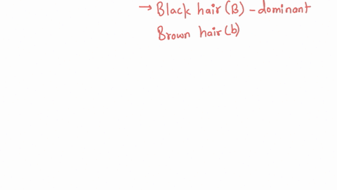 in-rabbits-black-hair-is-dominant-b-to-brown-hair-b-if-a-mother-and-father-are-both-heterozygous-for-black-hair-bb-what-percentage-of-their-offspring-will-be-brown-a-25-b-50-c-75-d-0-if-both-88379