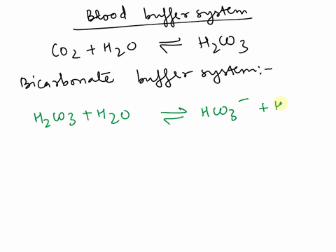Bicarbonate Buffer System, Overview, Equation & Uses - Video & Lesson  Transcript