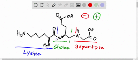 for-this-tri-peptide-which-contains-one-aspartate-one-glycine-and-one-lysine-a-label-with-allthe-atoms-that-will-be-charged-at-ph-7-b-circle-the-n-terminus-of-the-tripeptide-and-put-square-b-22383