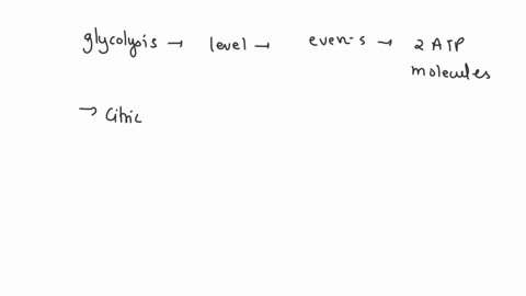 we-calculated-that-theoretical-maximum-energy-yield-from-the-complete-oxidation-of-one-glucose-molecule-is-the-equivalent-of-376-atp-molecules-of-these-how-many-are-generated-by-substrate-le-49326