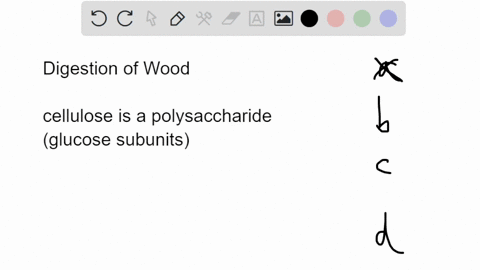 humans-and-other-animals-cannot-digest-wood-because-they-a-cannot-digest-any-carbohydrates-b-cannot-15915
