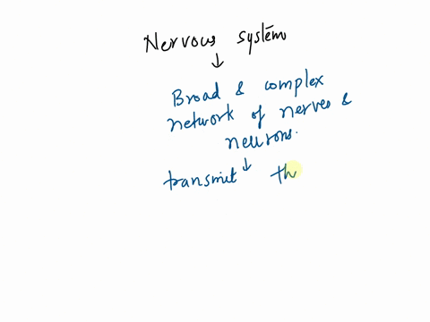 all-the-following-are-functions-of-the-nervous-system-except-a-the-transport-of-blood-b-sensory-afferent-information-sent-to-the-cns-c-integrating-information-by-the-brain-d-motor-efferent-i-06495