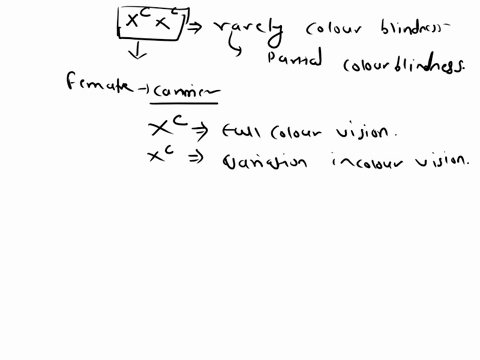 females-with-the-genotype-xcx-are-rarely-colorblind-although-some-have-only-partial-color-vision-speculate-on-why-this-is-tnue-81437
