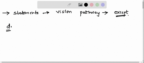30biol-155-vision-all-of-the-following-statements-accurately-describe-the-vision-pathway-except-athe-optic-nerves-pass-through-the-optic-foramina-of-the-sphenoid-boneconverging-at-the-optic-68623