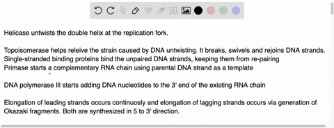 order-the-following-steps-of-the-dna-replication-process-from-first-to-last-dna-ligase-joins-okazaki-fragmments-together-elongation-of-leading-strands-occurs-continuosly-and-elongation-of-la-40912