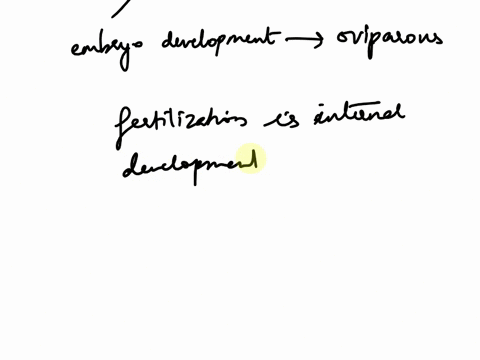 where-does-embryo-development-take-place-in-oviparous-animalsain-the-egg-within-the-mothers-bodybin-the-mothers-bodycin-the-egg-outside-the-mothers-body-22352