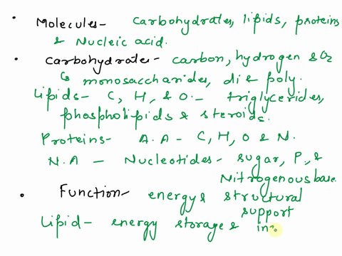 what-do-i-remember-what-are-the-major-types-of-molecules-found-in-living-organisms-what-are-the-chemical-compositions-and-different-types-of-carbohydrates-lipids-proteinsand-nucleic-acids-wh-58187