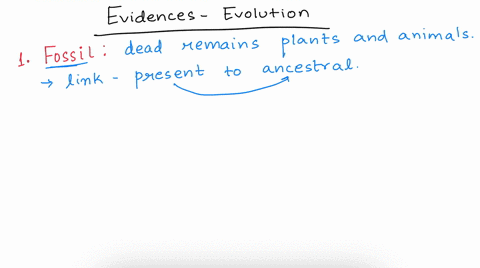 name-three-things-that-show-evidence-of-evolution-write-one-sentence-for-each-explaining-why-it-demonstrates-evidence-13586