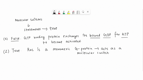 regarding-molecular-switches-which-of-the-following-is-true-a-gtp-binding-protein-exchanges-its-bound-gtp-for-gdp-to-become-activated-ras-is-a-monomeric-g-protein-that-act-as-a-molecular-swi-61427