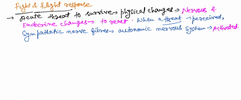 explain-how-the-endocrine-system-and-the-nervous-system-work-together-to-regulate-the-fight-or-flight-response-99057