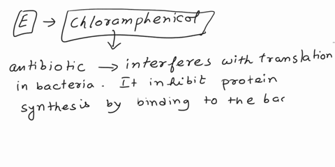 which-of-the-following-drugs-interferes-with-translation-a-vancomycin-b-sulfonamides-c-penicillin-d-polymyxin-e-chloramphenicol-34014