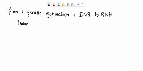 transcription-and-translation-molccular-biology-states-that-thcre-drema-flow-of-information-froin-grntral-vh-lhe-mcsseneer-the-gcnctic-instructions-arci-cell-products-thel-moxof-thc-ort-ncnu-92306
