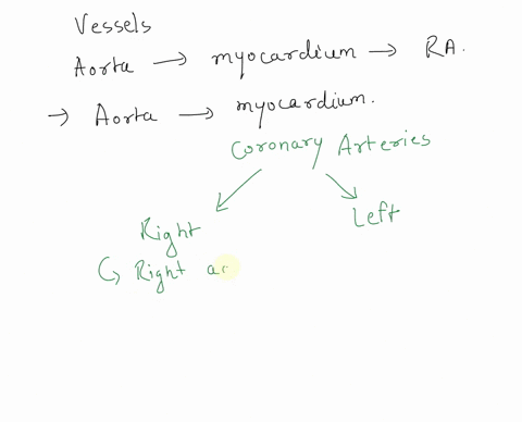 list-the-vessels-through-which-blood-flows-fromthe-aorta-to-the-myocardium-and-back-to-theright-atrium-14821
