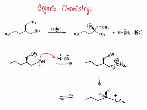 draw-the-mechanism-of-the-following-reaction-using-the-curved-artow-notation-t0-indicate-the-reorganization-of-electron-density-show-all-intermediates-lone-pairs-nonzero-formal-charges-count-48564