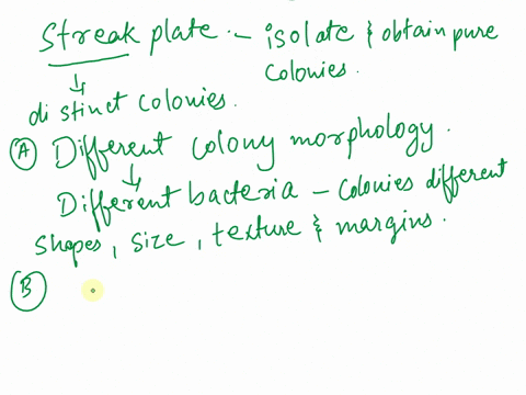 how-can-you-tell-that-the-bacteria-growing-on-a-streak-plate-were-different-types-of-bacteria-or-a-contaminant-check-all-letters-that-apply-a-different-colony-morphology-b-you-really-cant-te-54642