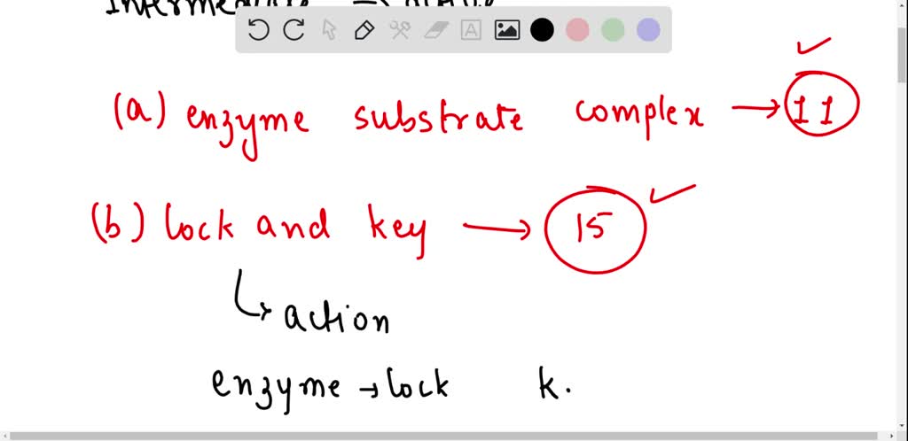 SOLVED: Match the correct term in enzyme action with each description