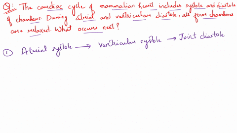 the-cardiac-cycle-of-the-mammalian-heart-includes-phases-of-systole-and-diastole-of-the-chambers-during-atrial-and-ventricular-diastole-all-four-chambers-are-relaxed-the-beginning-of-the-car-86814
