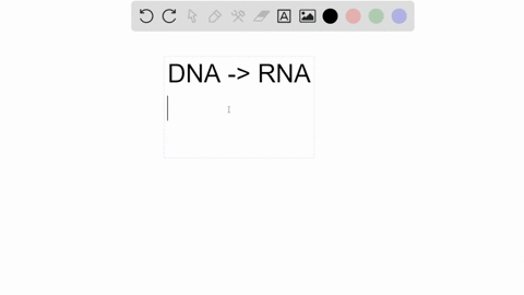 a-template-strand-of-dna-has-20-cytosine-10-guanine-30-adenine-and-40-thymine-what-would-you-expect-to-find-in-the-rna-strand-made-from-this-template-20-c-10-g-30-a-40-t-10-c-20-g-40-a-30-u-12027