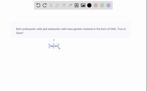 both-prokaryotic-cells-and-eukaryotic-cells-have-genetic-material-in-the-form-of-dna-true-or-false-07121