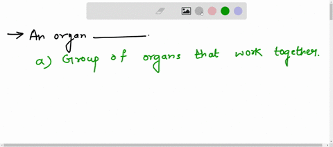 an-organ-is-a-1-group-of-organs-that-work-together-2-group-of-similar-cells-that-perform-a-particular-function-3-cell-that-has-a-specific-function-inside-the-body-24743