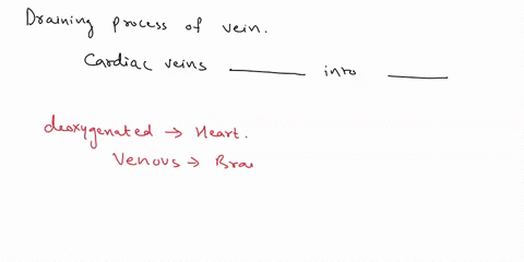 the-draining-process-of-veins-in-the-heart-goes-like-this-cardiac-veins-empty-into-the-which-then-empties-into-the-coronary-sinus-right-atrium-o-inferior-vena-cava-left-atrium-o-great-cardia-99916