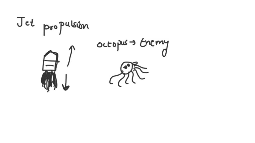 SOLVED How do octopus use Newton's third law of motion to escape from