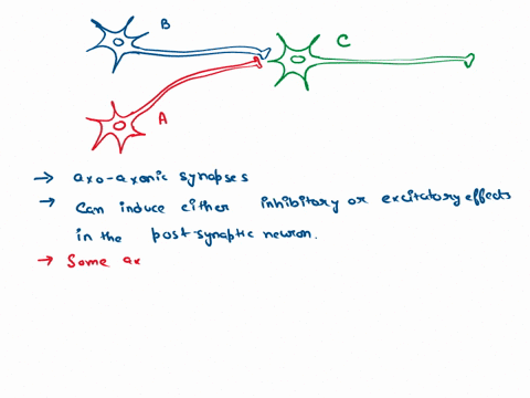 explain-the-roles-of-presynaptic-inhibition-and-of-facilitation-41101