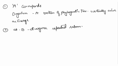 analyze-the-phylogenetic-tree-below-and-use-the-information-t0-answer-the-foliewing-questions_-shuk-salundet-lzard-aadillo-hunal-which-letter-corresponds-to-the-common-ancestor-of-all-the-or-20374