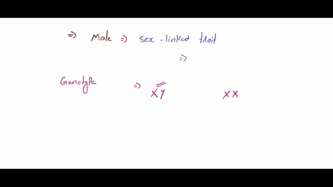 males-are-typically-more-affected-by-sex-linked-traits-because-female-hormones-such-as-estrogen-often-compensate-for-the-effects-of-mutations-on-the-x-chromosome-females-often-mask-sex-linke-51258