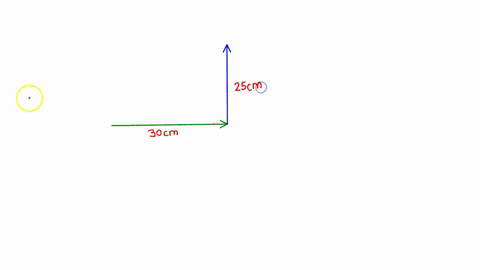 arvin-the-ant-travels-30-cm-east-then-25-cm-north-and-finally-10-cm-west-how-far-is-arvin-from-his-starting-point-52367