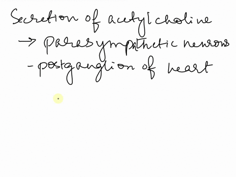 1-acetylcholine-released-by-parasympathetic-postganglionic-neurons-in-the-heart-would-select-one-decrease-the-heart-rate-prevent-the-passage-of-nerve-impulses-through-the-myocardium-stimulat-31888