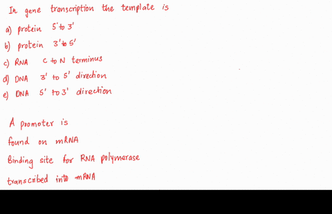 question-7-1-point-in-gene-transcription-the-template-is-oa-protein-read-from-the-5-to-3-direction-b-protein-read-from-the-3-to-5-direction-c-rna-read-from-the-c-to-n-terminus-direction-d-dn-01653