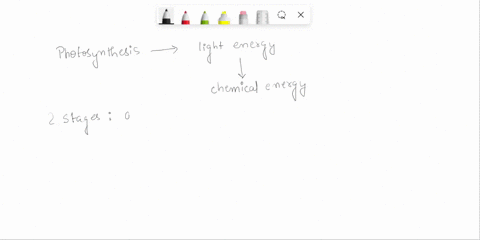 what-gas-do-plants-release-as-a-result-of-photosynthesis-12306