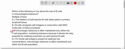 which-of-the-following-is-true-about-the-role-of-b-cells-in-immunological-tolerance-multiple-choice-a-the-deletion-of-self-reactive-b-cells-takes-place-in-primary-lymphoid-tissue-b-b-cells-r-03164