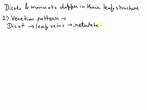 how-do-dicots-differ-from-monocots-in-terms-of-leaf-structure-79724