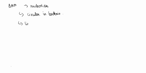 which-of-the-following-organelles-does-not-contain-its-own-dna-rough-endoplasmic-reticulum-er-nucleus-mitochondrion-chloroplast-26556