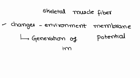 describe-a-skeletal-muscle-fiber-contraction-starting-by-exciting-a-motor-neuron-with-an-epsp-talk-about-local-potentials-leading-to-an-action-potential-describe-an-action-potential-and-what-98352