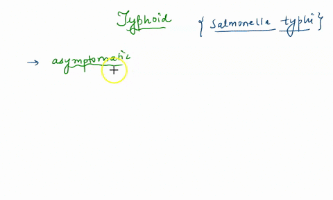 question-15-1-point-mary-mallon-aka-typhoid-mary-was-a-cook-responsible-for-transmitting-salmonella-typhi-to-unsuspecting-consumers-of-her-food-mary-had-no-symptoms-of-typhoid-fever-and-is-t-60874