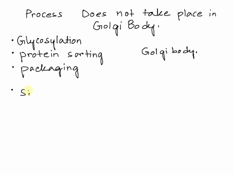 which-of-the-following-does-not-take-place-in-the-golgi-protein-maturation-signal-peptide-cleavage-c-glycosylation-d-packaging-into-export-vesicles-protein-sorting-of-the-following-cell-cons-06067