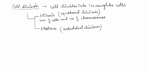 a-cell-with-10-chromosomes-undergoes-mitosis-how-many-daughter-cells-are-created-___-each-daughter-cell-has-___-chromosomes-33528