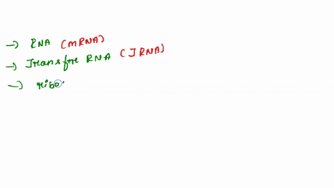 three-forms-of-rna-mrna-trna-and-rrna-interact-during-translation-pick-the-correct-statements-below-that-distinguishes-prokaryotic-translation-from-eukaryotic-translation-a-initiation-of-tra-36394