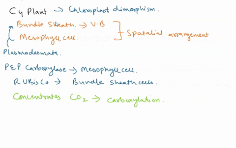 which-of-the-following-is-not-a-characteristic-of-c4-photosynthesis-carbon-dioxide-is-fixed-into-a-4-carbon-compound-it-involves-the-enzyme-pep-carboxylase-oit-occurs-in-plants-that-are-most-30195