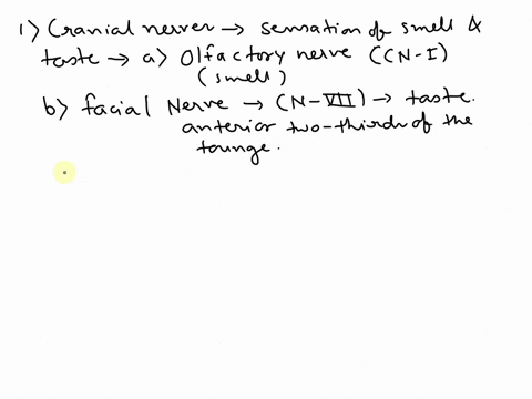 list-the-cranial-nerves-and-cerebral-lobes-concerned-with-the-sensation-of-smell-and-taste-00299