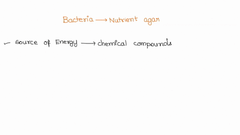 what-are-the-bacteria-using-for-nutrients-in-nutrient-agar-09016