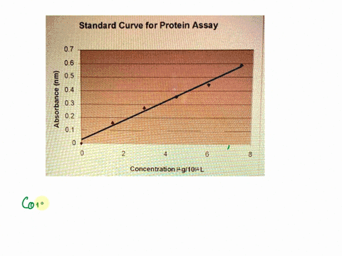 standard-curve-for-protein-assay-07-06-1-05-04-1-03-02-01-concentration-g10kl-what-is-the-concentration-when-the-absorbance-is-05102-point-066-pgpl-3-pg1opl-75-pgpl-16-pg1opl-50843